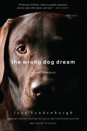 The Wrong Dog Dream 