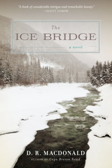 The Ice Bridge