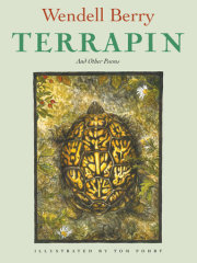 Terrapin 