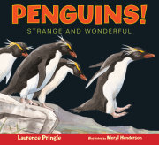 Penguins! 