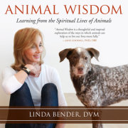 Animal Wisdom 