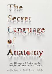 The Secret Language of Anatomy 