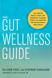 The Gut Wellness Guide 