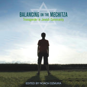 Balancing on the Mechitza 
