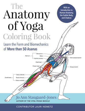 Anatomy of Yoga: Essential Yoga Foundations and Techniques - A New  Perspective on Yoga Poses: Essential Foundations and Techniques in Yoga  Teaching - A New Perspective on Yoga Poses.: : Mattingly,  Robert