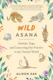 Wild Asana 