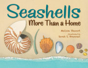 Seashells 