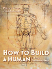 How to Build a Human