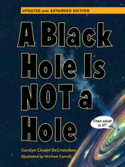 A Black Hole is Not a Hole 