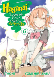 Haganai: I Don't Have Many Friends Vol. 6