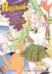 Haganai: I Don't Have Many Friends Vol. 13