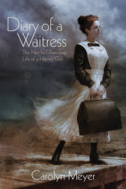Diary of a Waitress 