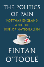 The Politics of Pain