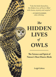 The Hidden Lives of Owls 