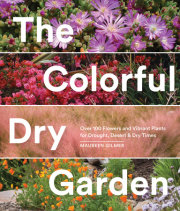 The Colorful Dry Garden 