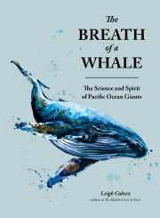 The Breath of a Whale 