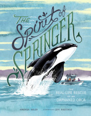 The Spirit of Springer 
