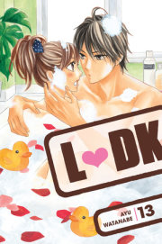 LDK 13 