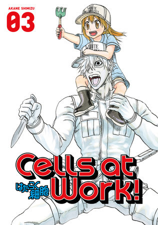 Cells at Work! Omnibus 2 (Vols. 4-6) by Akane Shimizu: 9781646519224