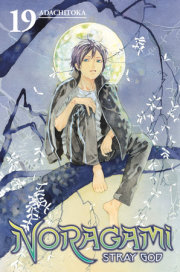 Noragami: Stray God 19 