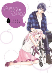 Perfect World 3 