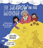 The Shadow in the Moon 