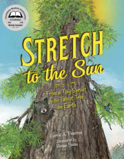Stretch to the Sun 