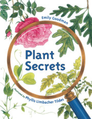Plant Secrets 