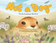 Not a Dog 