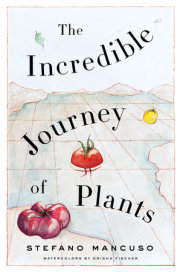 The Incredible Journey of Plants 