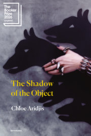 The Shadow of the Object 