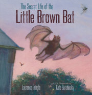 The Secret Life of the Little Brown Bat 