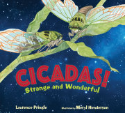 Cicadas! 