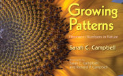 Growing Patterns 