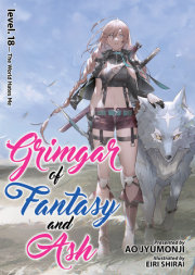 Grimgar of Fantasy and Ash (Light Novel) Vol. 18 
