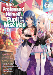 She Professed Herself Pupil of the Wise Man (Light Novel) Vol. 6 