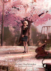 Wait For Me Yesterday in Spring (Light Novel) 