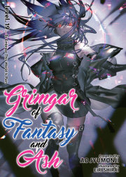 Grimgar of Fantasy and Ash (Light Novel) Vol. 19 