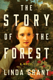 The Story of the Forest 