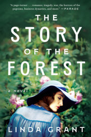 The Story of the Forest 