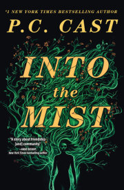 Into the Mist 