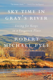 Sky Time in Gray's River 