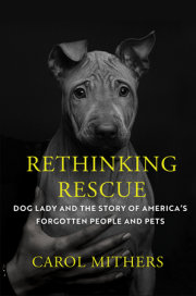 Rethinking Rescue 