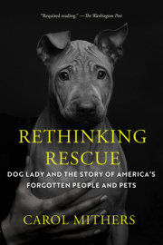 Rethinking Rescue 