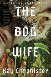 The Bog Wife 