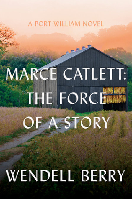 Marce Catlett: The Force of a Story