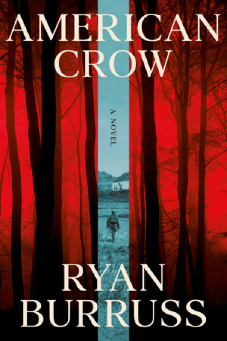 American Crow