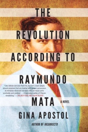 The Revolution According to Raymundo Mata 
