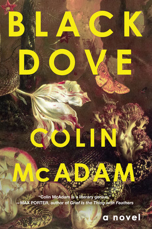 Black Dove by Colin McAdam 9781641295338 PenguinRandomHouse Books