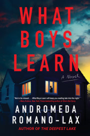 What Boys Learn 